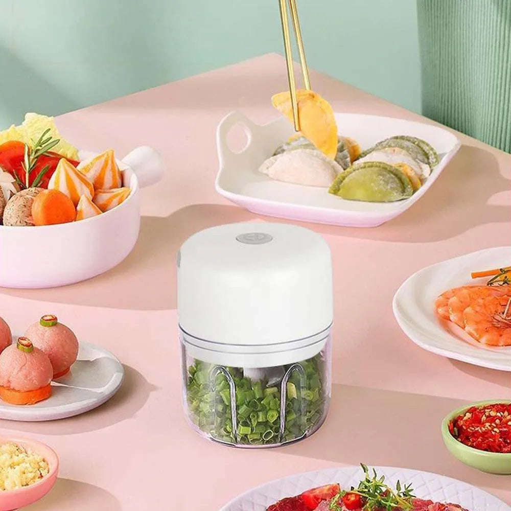 100ML/250ML Electric Garlic Chopper, Portable Food Processor, Rechargeable Vegetable Chopper Blender for Nuts Chili Onion