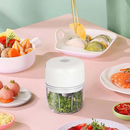 100ML/250ML Electric Garlic Chopper, Portable Food Processor, Rechargeable Vegetable Chopper Blender for Nuts Chili Onion